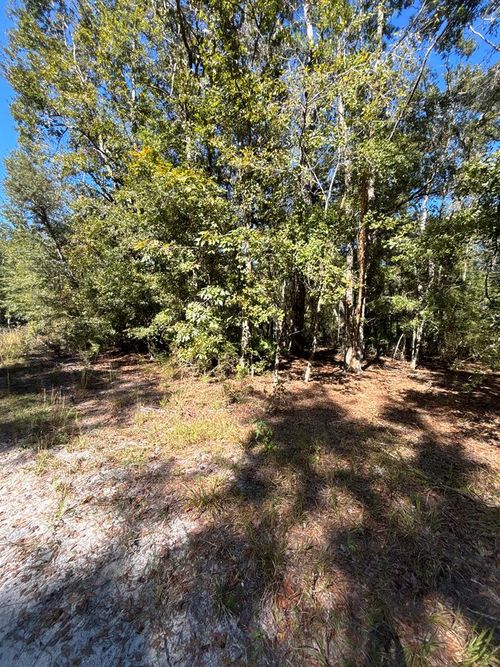 Lot 3 Se 843rd St, Old Town, FL, 32680-4527 | Card Image