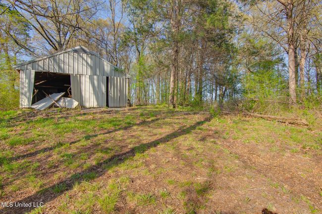 Backyard | Image 31