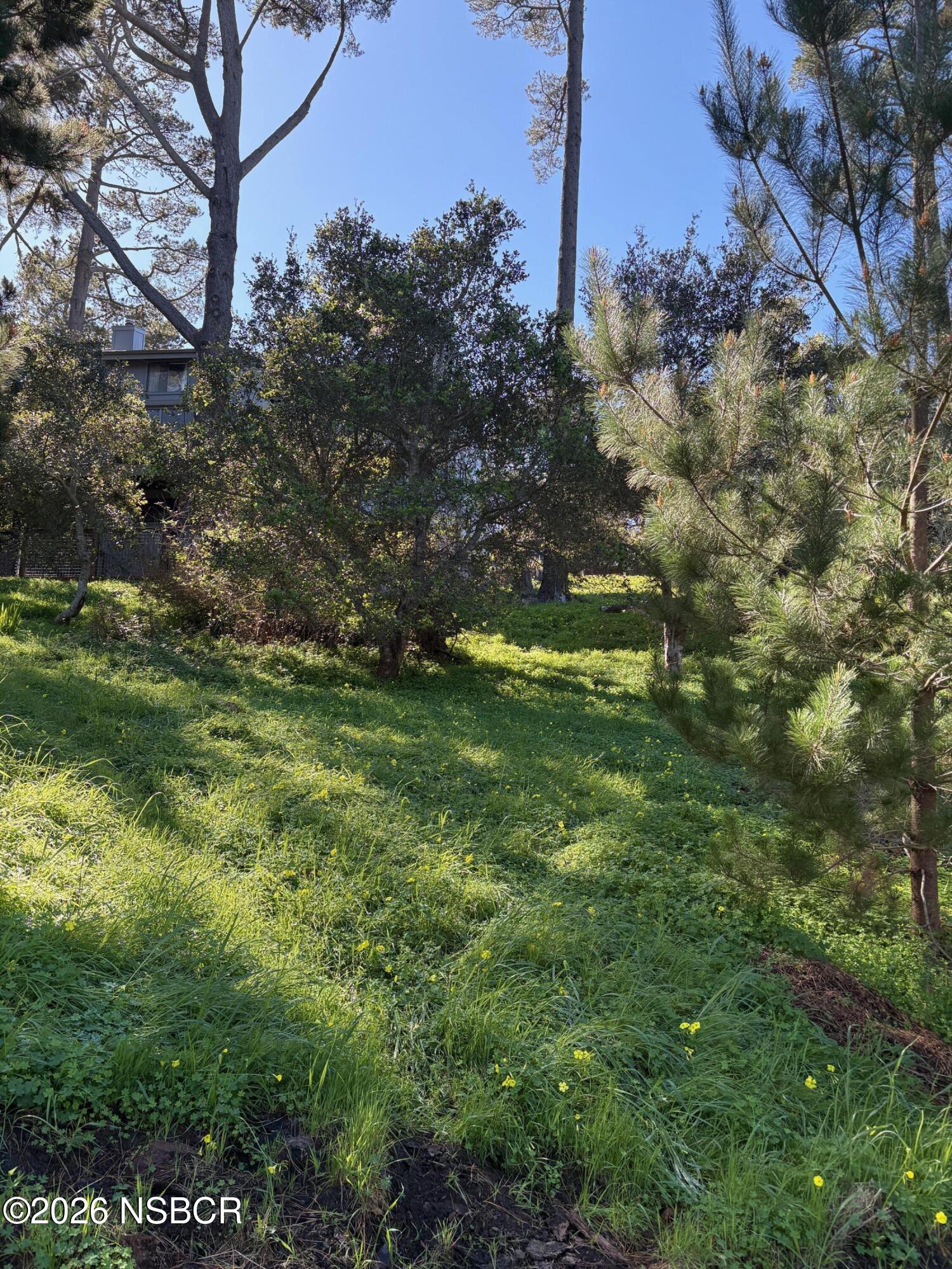 Land in Cambria 3