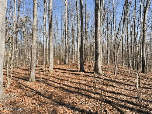 180 Hill Rd, Knoxville, TN, 37938-4900 | Card Image