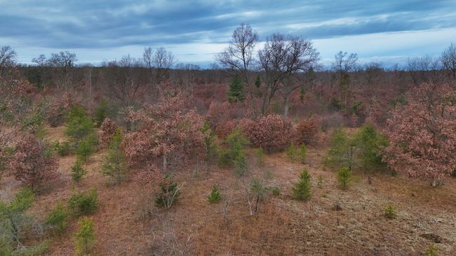 3726 N Custer Rd, Home with 0 bedrooms, 0 bathrooms and null parking in Manistee MI | Image 15