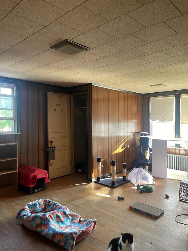 bedroom 4 | Image 16