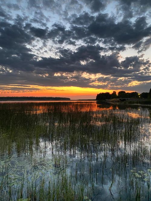 1290 Malone Park Rd, Isle, MN, 56342-2613 | Card Image