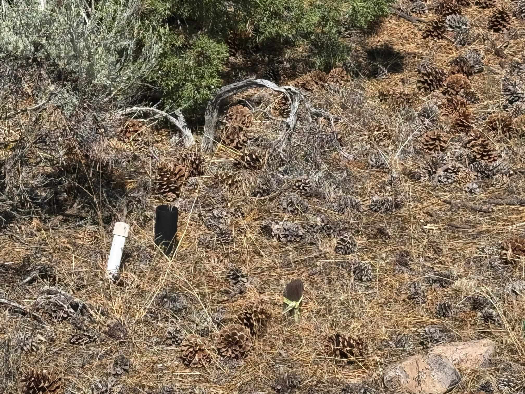 Land in Weed 5
