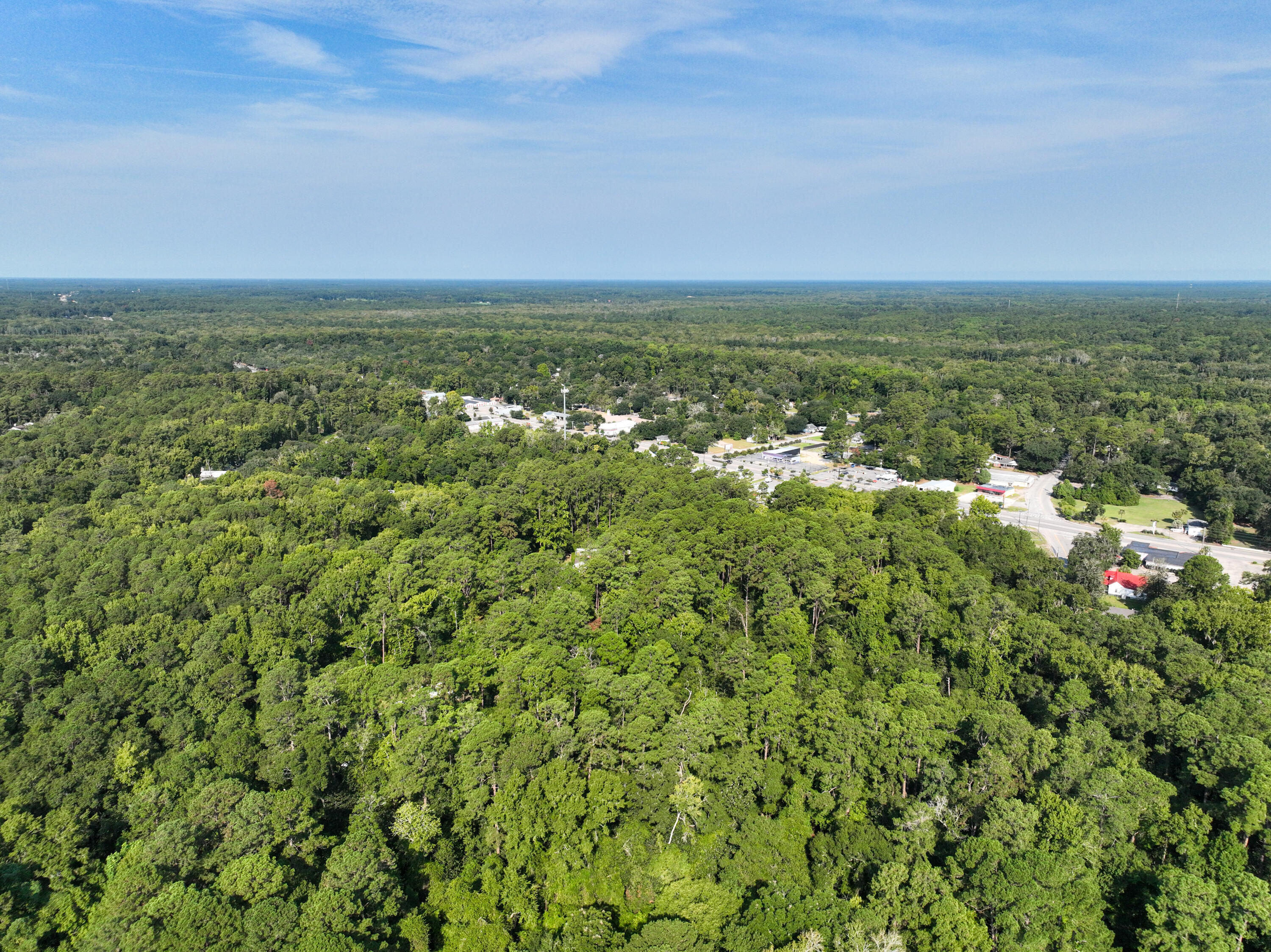 Land in Walterboro 5