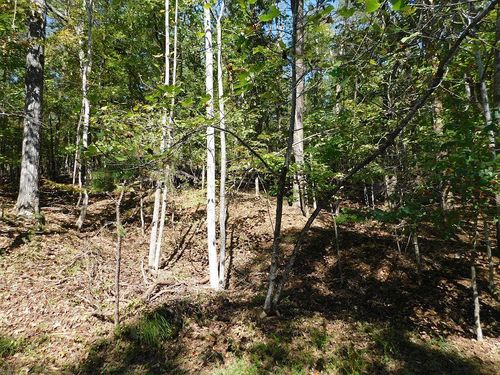 Lot 24 Cedar Bluff Ln, Hardy, VA, 24101 | Card Image