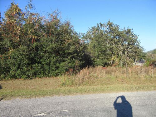 TBD Se 163rd Ter, Ocklawaha, FL, 32179 | Card Image