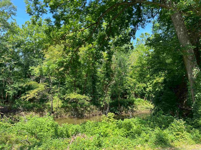 9200 Trulock Bay Rd, Home with 0 bedrooms, 0 bathrooms and null parking in Sherrill AR | Image 4