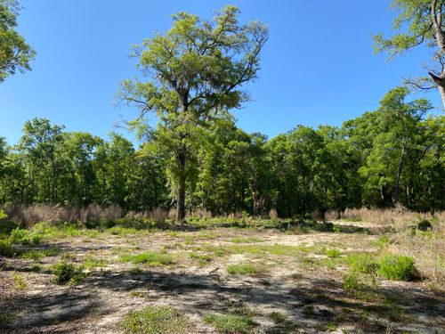 6079 Josie Ridge Rd, Wadmalaw Island, SC, 29487-6840 | Card Image