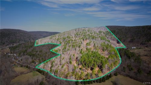 285 Patria Rd, Warnerville, NY, 12187 | Card Image