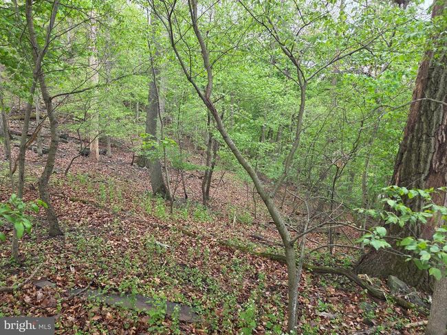 0 W Clearview Dr, Home with 0 bedrooms, 0 bathrooms and null parking in GLEN ROCK PA | Image 31