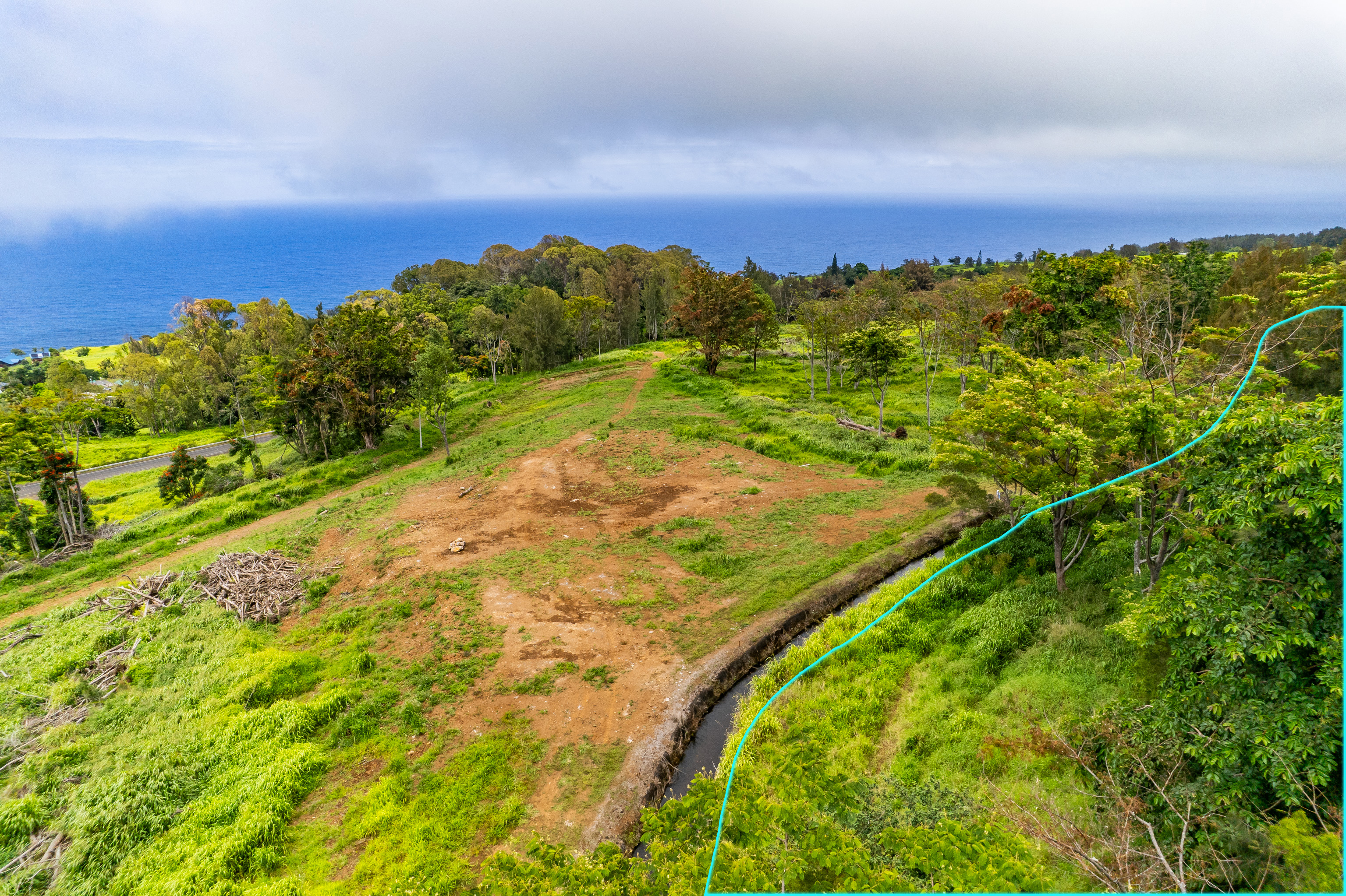 Land in Honokaa 3