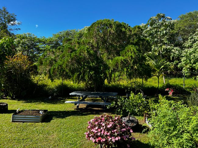 15-376 Puni Makai Loop S, House other with 3 bedrooms, 2 bathrooms and null parking in PAHOA HI | Image 27