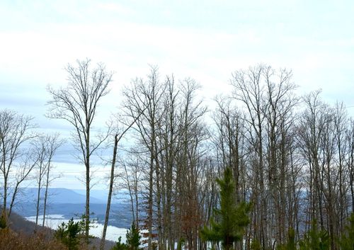 0 Wohalie Ln, South Pittsburg, TN, 37380 | Card Image