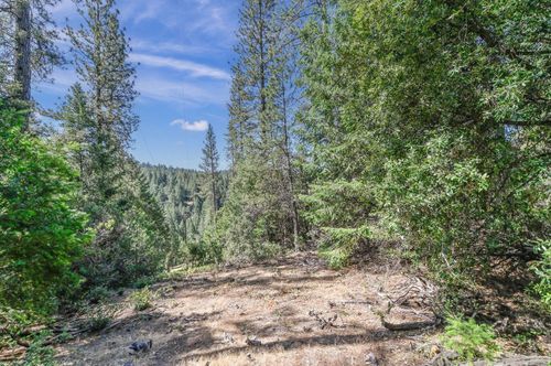 21670 Clute Canyon Road, Volcano, CA, 95689 | Card Image