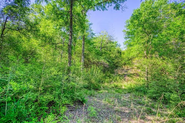 2865 Woodland Ranch Lane, Home with 0 bedrooms, 5 bathrooms and 3 parking in Chappell Hill TX | Image 49