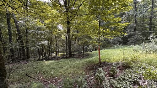 0 Poor Grab Rd, Petersburg, TN, 37144 | Card Image