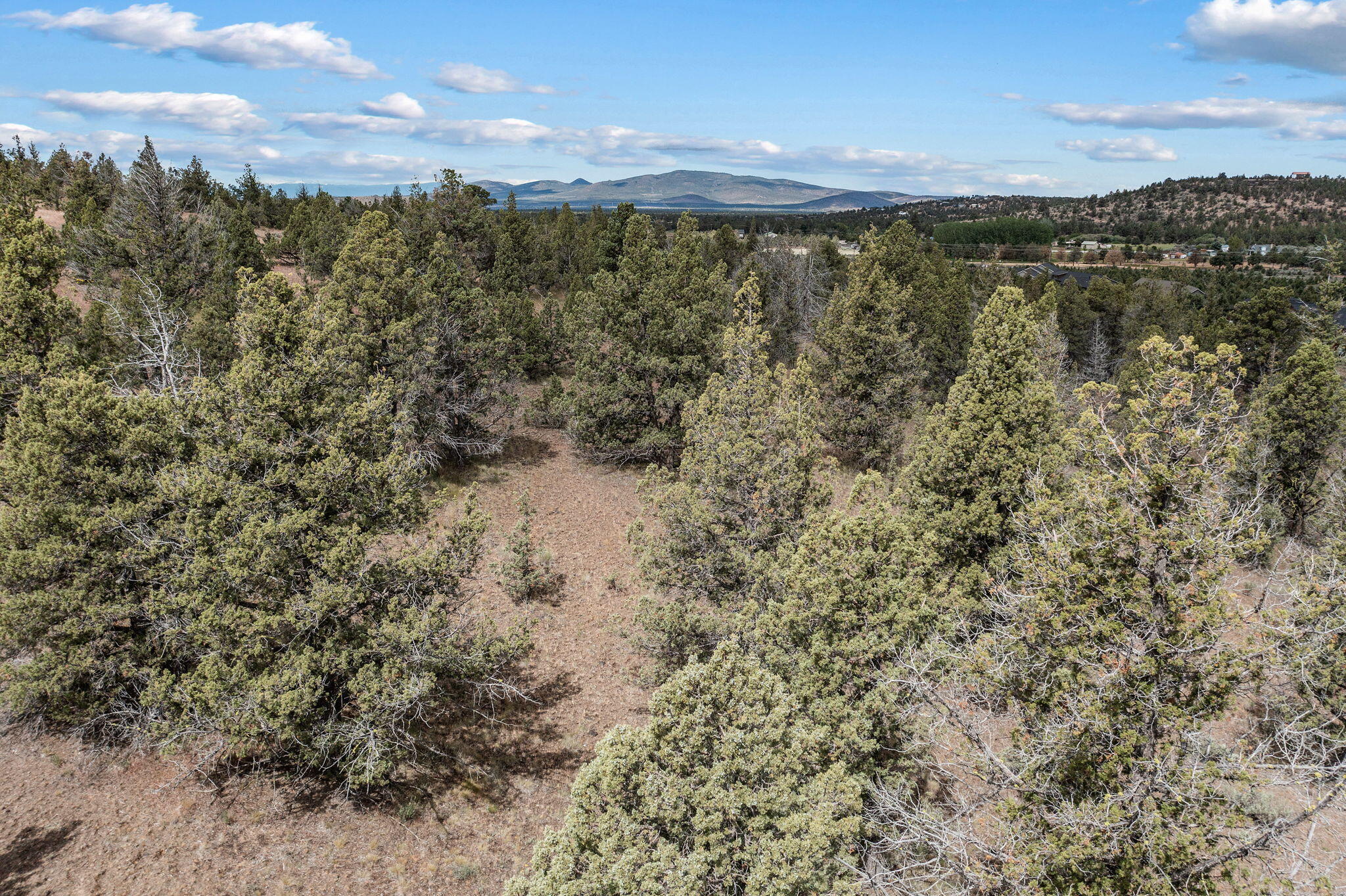 Land in Prineville 3