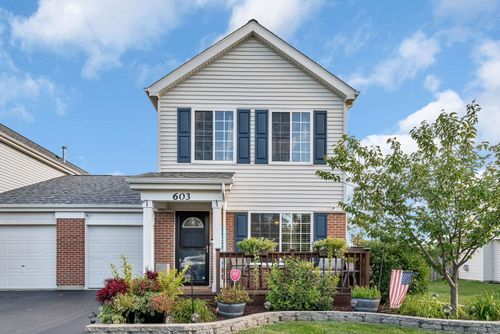 603 Briarcliff Dr, Minooka, IL, 60447-8825 | Card Image