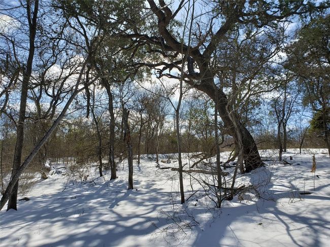 View of yard layered in snow | Image 27