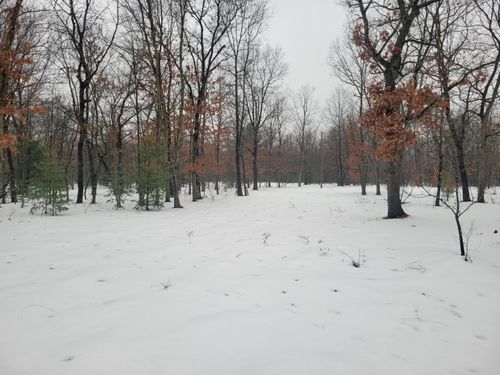 2155 E County Line Rd, Free Soil, MI, 49411 | Card Image