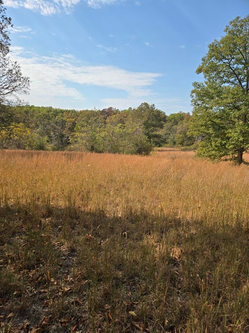 Lot #5 Arden Ridge, Ava, MO, 65608 | Card Image