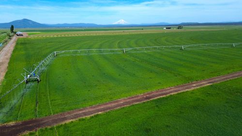 Lot 002 Lee Rd, Mcarthur, CA, 96056 | Card Image
