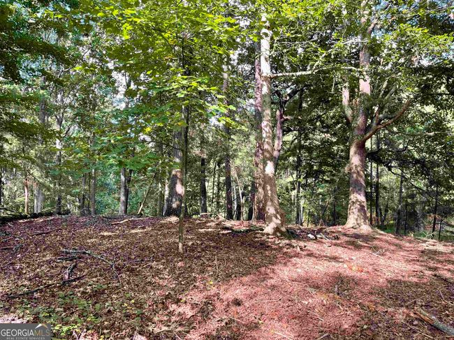 0 Peach Orchard Dr, Home with 0 bedrooms, 0 bathrooms and null parking in Alto GA | Image 29