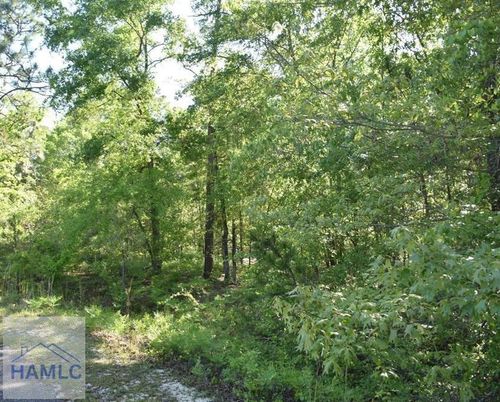 Lot 27 Chestnut Lane, Garfield, GA, 30425 | Card Image