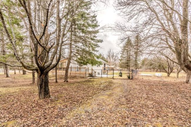 667287 20 Sideroad, House other with 2 bedrooms, 1 bathrooms and 6 parking in Mulmur ON | Image 34
