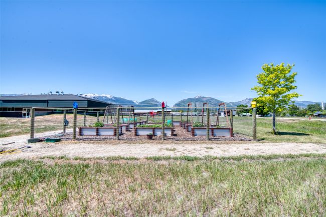 Community Garden | Image 58