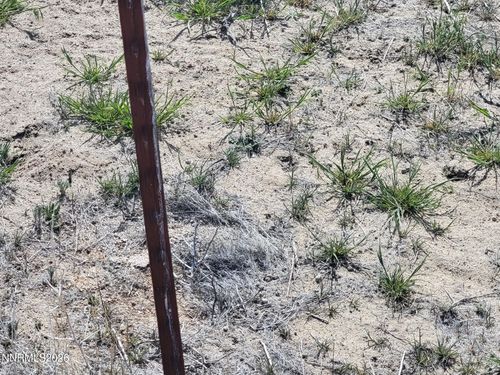 4725 2nd St, Silver Springs, NV, 89429 | Card Image