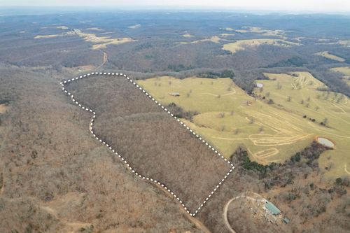 000 Farm Road 2155, Cassville, MO, 65625 | Card Image