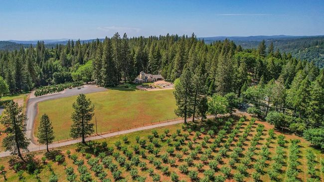 You can enjoy the views of the neighbors apple orchard across the street. | Image 5