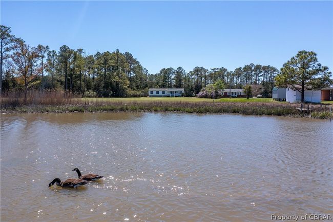 0 Piney Point Rd, Home with 0 bedrooms, 0 bathrooms and null parking in Onemo VA | Image 9