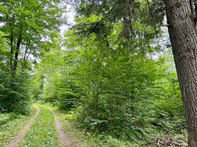 333-ACRES - ON Double Bend Rd, House other with 2 bedrooms, 1 bathrooms and null parking in Argonne WI | Image 20