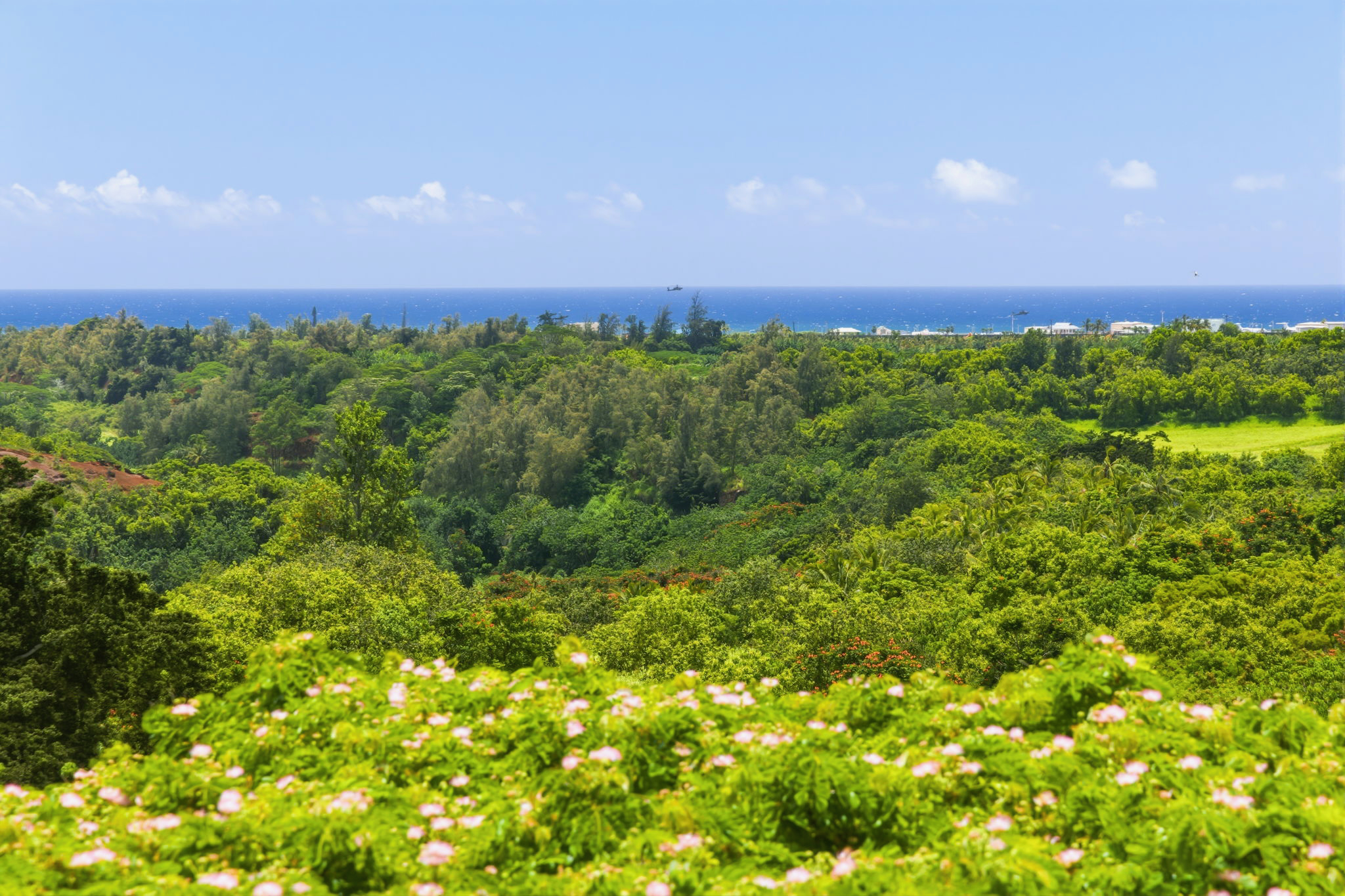 Residential in Lihue