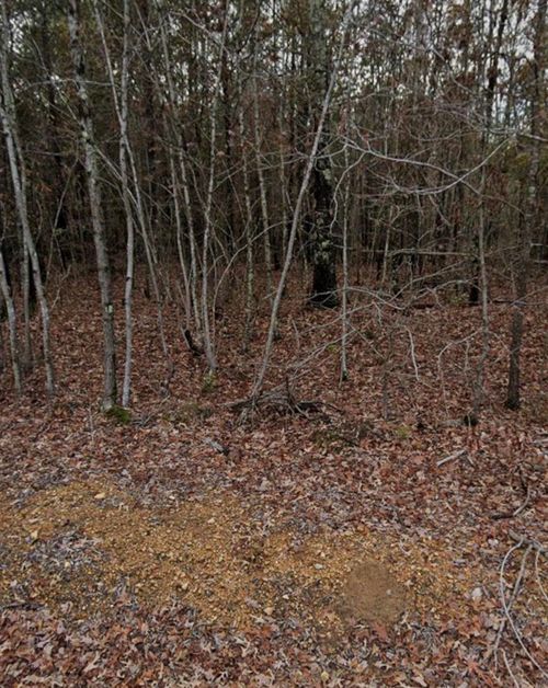 208 Fuller Rd, Phil Campbell, AL, 35581 | Card Image