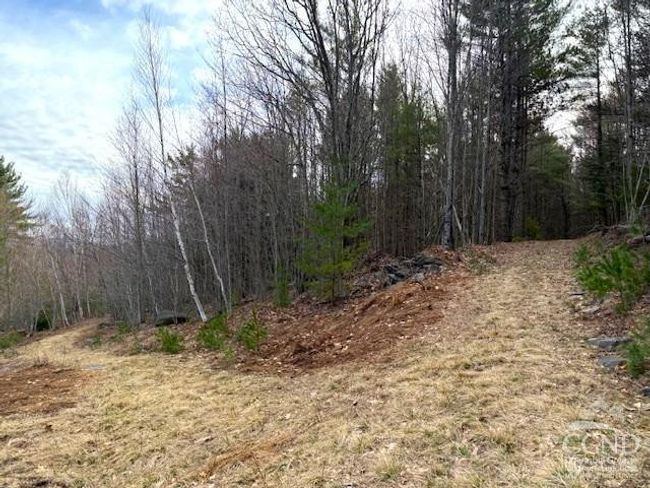 0 Campbell Rd, Home with 0 bedrooms, 0 bathrooms and null parking in Windham NY | Image 12