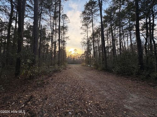 3.98 Acres Pelham Rd, Willard, NC, 28478-9159 | Card Image