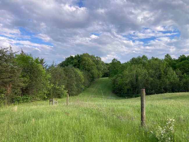 265 - 24265 S Mohawk Rd, Home with 0 bedrooms, 0 bathrooms and null parking in Mohawk TN | Image 10