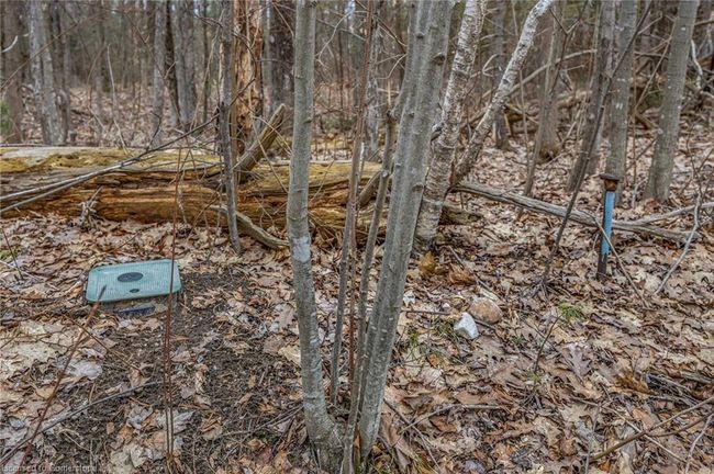LOT 17 Nicole Blvd, Home with 0 bedrooms, 0 bathrooms and null parking in Tiny ON | Image 19