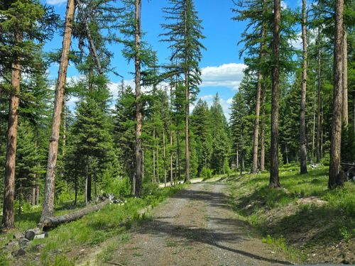 3007 S Placid Lake Rd, Seeley Lake, MT, 59868 | Card Image