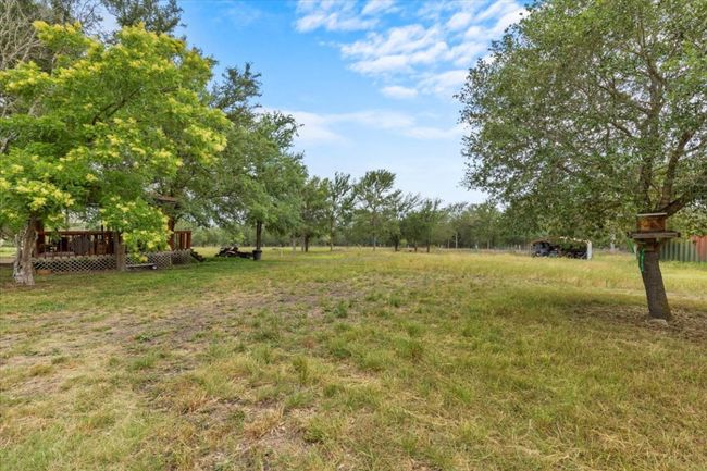 View of back yard | Image 21