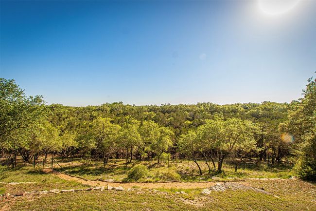View of wooded area | Image 35