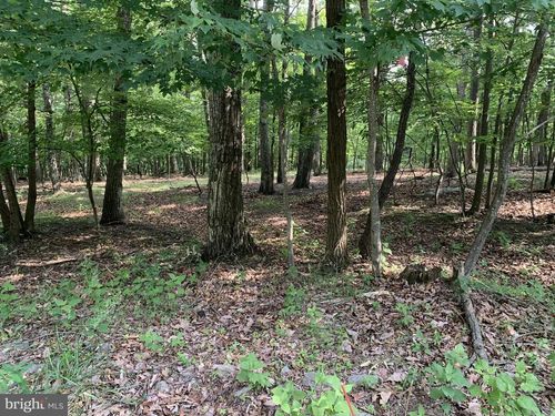 Lot 55 Grimaldi Way, HEDGESVILLE, WV, 25427 | Card Image
