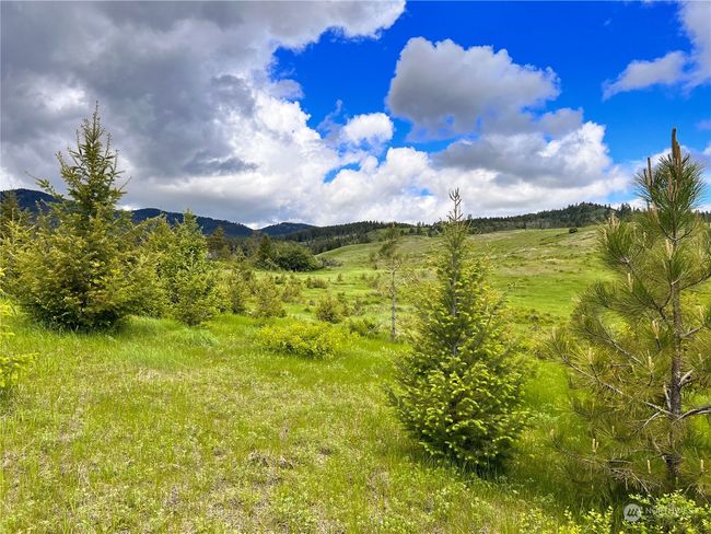 0 TBD Goosmus Creek Rd, Home with 0 bedrooms, 0 bathrooms and null parking in Curlew WA | Image 8
