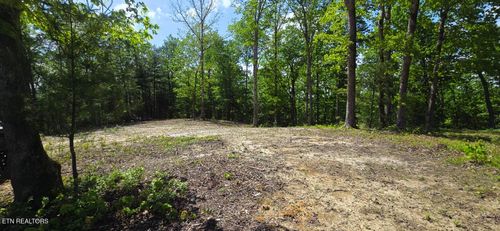 0 Carmel Ridge Pvt Drive, Robbins, TN, 37852 | Card Image