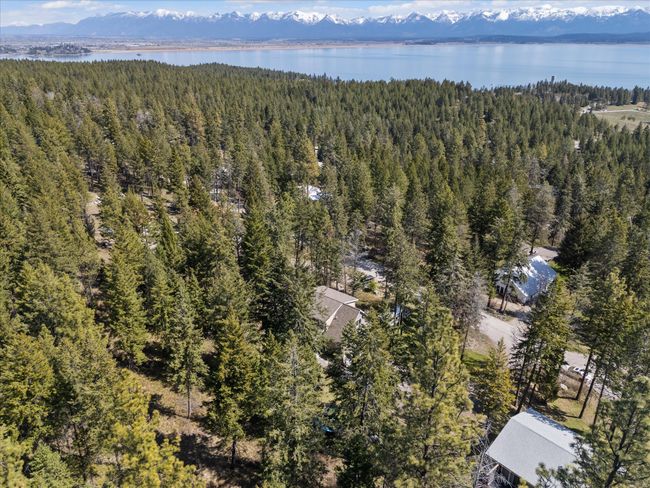Birds eye view of property with a wooded view and a water and mountain view | Image 41