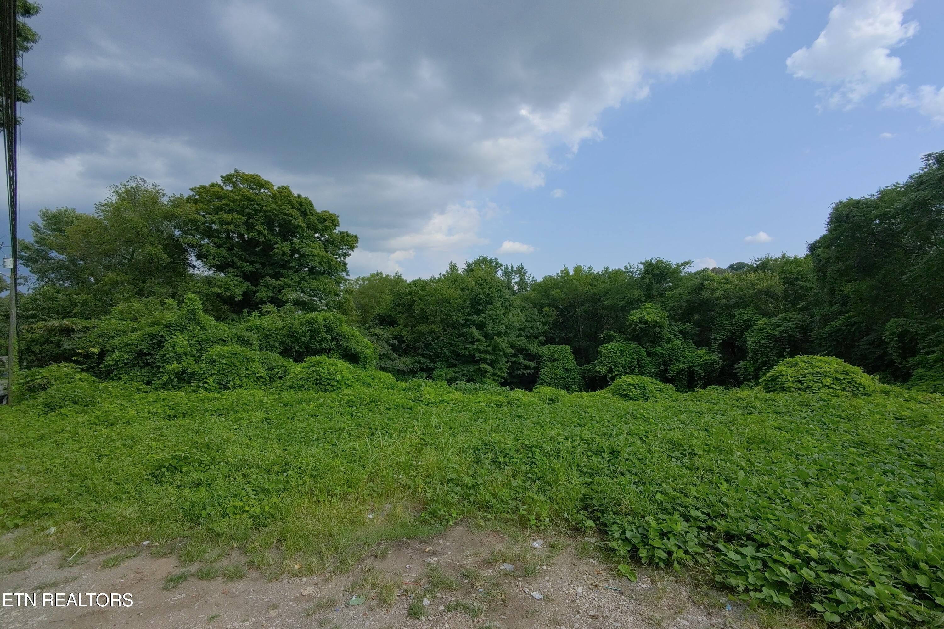 Land in Knoxville 3